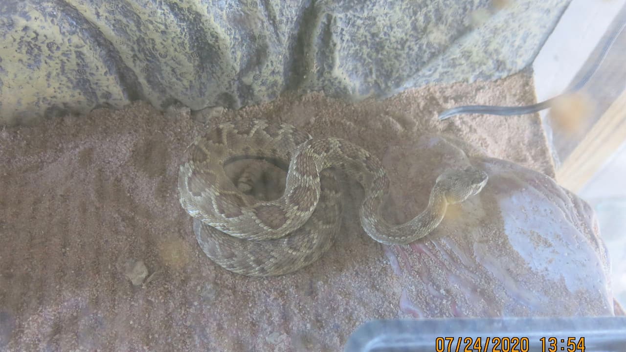 La policía continua investigando el caso para presentar los resultados ante la fiscalía.