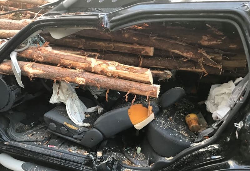 Los rescatistas debieron usar motosierras para liberar al conductor atrapado en el vehículo. / Crédito: 
<a href="https://www.facebook.com/WhitfieldCountyFire/posts/547293709145913?__tn__=-R" target="_blank">Whitfield County Fire</a>