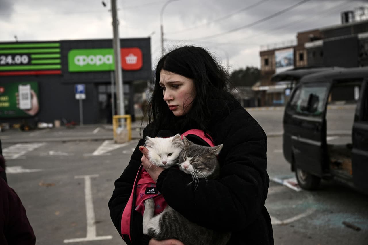 Una mujer carga sus dos gatos al salir este lunes de Irpin, al noroeste de Kiev. Mira también: 
<a href="https://www.univision.com/noticias/mundo/guerra-rusia-y-ucrania-simbolo-tropas-rusas-tanques-rusia-letras-pintadas-fotos">Por qué los tanques de Rusia en Ucrania llevan letras Z y V pintadas de blanco</a>