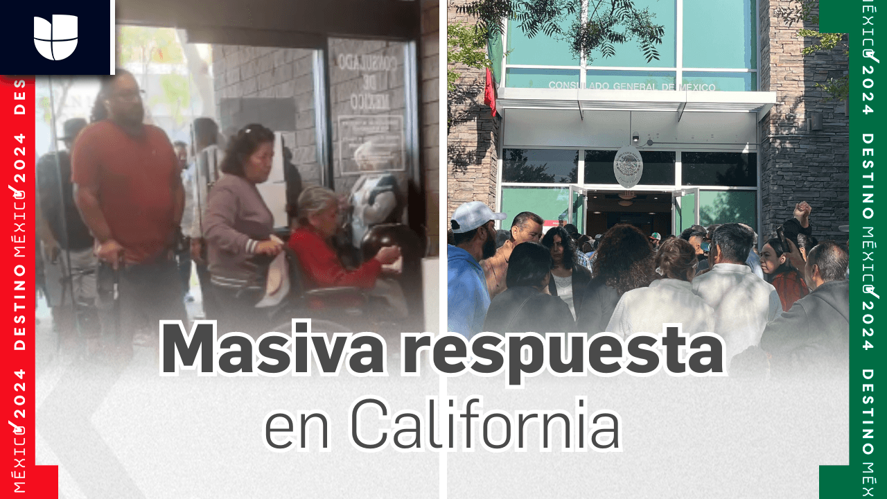 Elecciones en México 2024: multitudinaria la participación en California