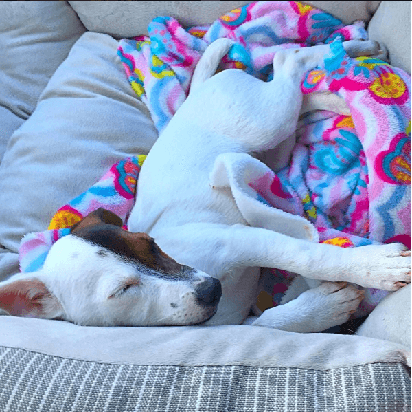 Aunque ella tiene sus propios espacios y sí que los disfruta.