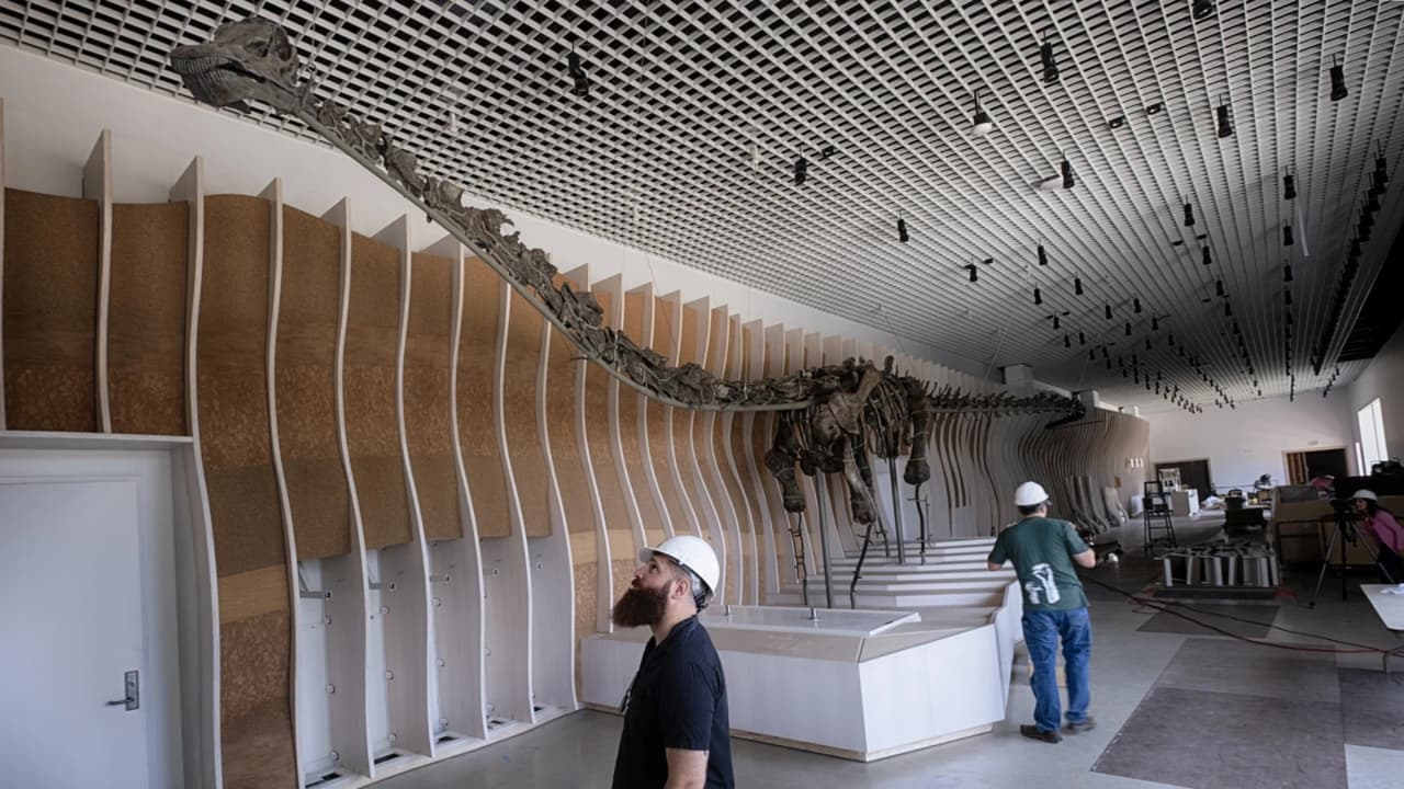 Gnatalie, el único dinosaurio de huesos verdes, será exhibido en Los Ángeles
