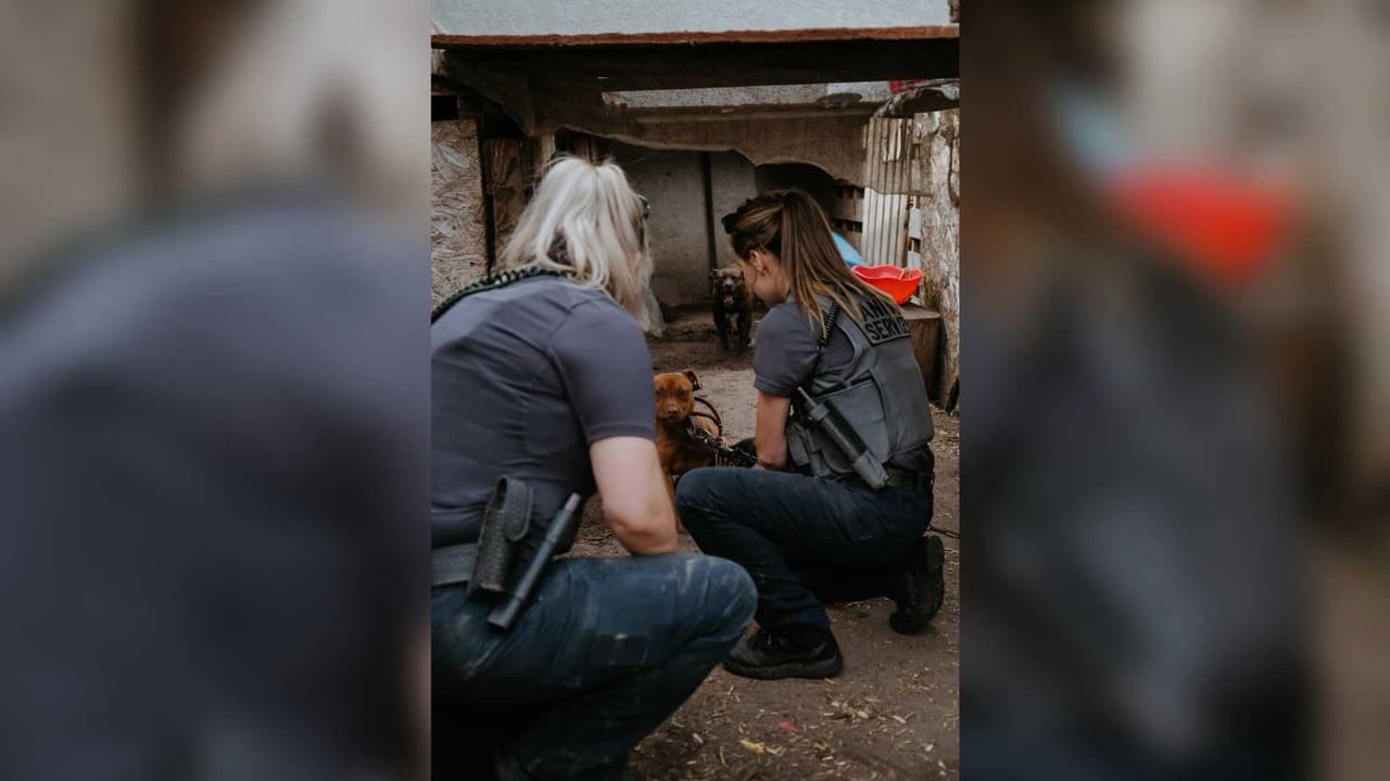 Cualquier persona con información sobre el caso se solicita que se comunique con el detective Ulrich al 209-668-6570.