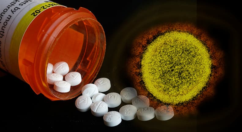 Esperanza de vida en EEUU llega a su nivel más bajo en 25 años: te contamos qué la está afectando