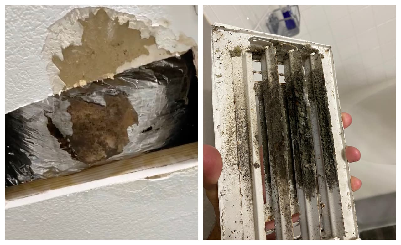 ¿Qué hacer si tu apartamento tiene moho?: esto es lo que dice la ley en Texas