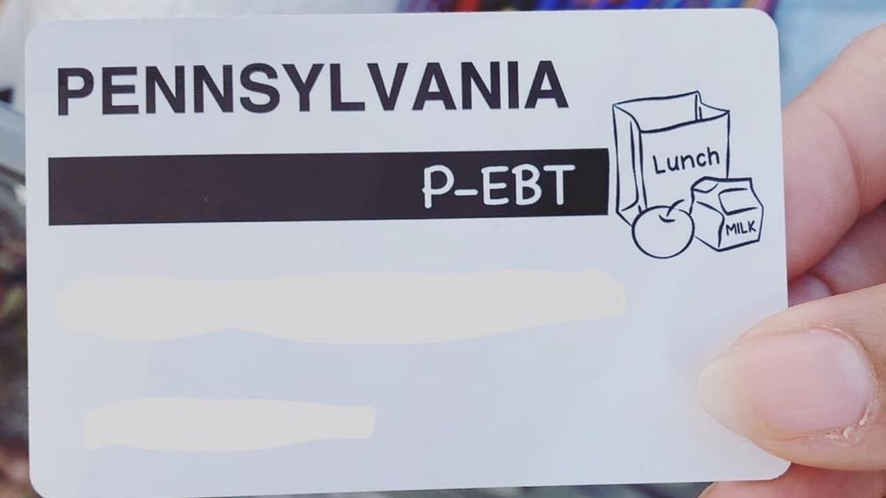 Para los niños que ya reciben beneficios del Programa de Asistencia de Nutrición Suplementaria (SNAP) o Asistencia Temporal para Familias Necesitadas (TANF), el beneficio P-EBT se emitirá a la tarjeta EBT regular del hogar, si es posible.