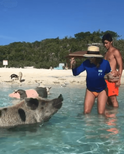 Muy divertida al lado de su hijo, Lorenzo, Lili se atrevió a convivir con estos cerditos.