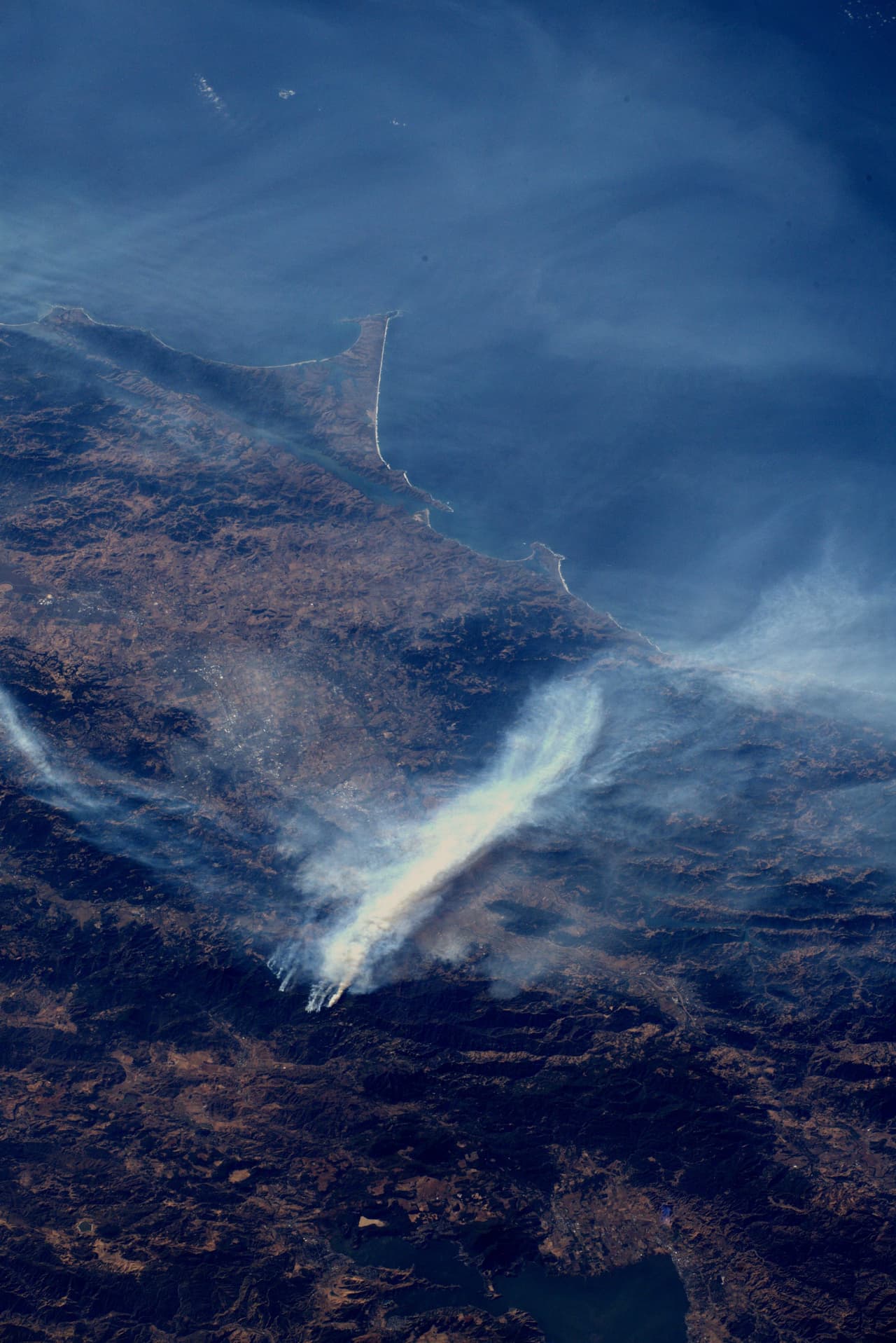 El brote de incendios forestales azotados por el viento en las afueras de Los Ángeles ha sido calificado por el Servicio Meteorológico Nacional como el evento más peligroso de los últimos tiempos. “Pensando en las personas que han perdido sus hogares y los valientes socorristas en primera línea protegiéndolos”, escribió el astronauta Andrew Morgan junto a sus fotografías.