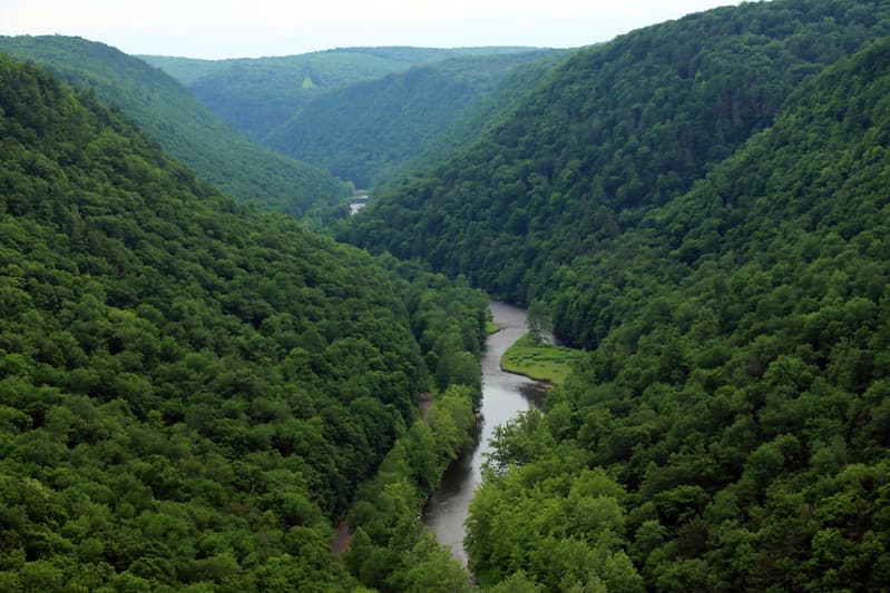 El centro de interpretación ambiental en el mirador principal Leonard Harrison está abierto durante la temporada de verano hasta la temporada de follaje de otoño. Video y exhibiciones educativas interpretan el área y su vida silvestre. Llame a la oficina del parque para conocer el horario del centro de visitantes o para programar una cita para un recorrido grupal.