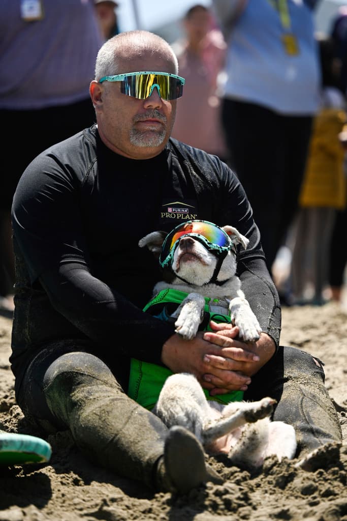 En la arena, esperaba su turno Faith, una perra de raza American Pitbull Terrier que hace un tiempo llegó al cuidado de James Wall.