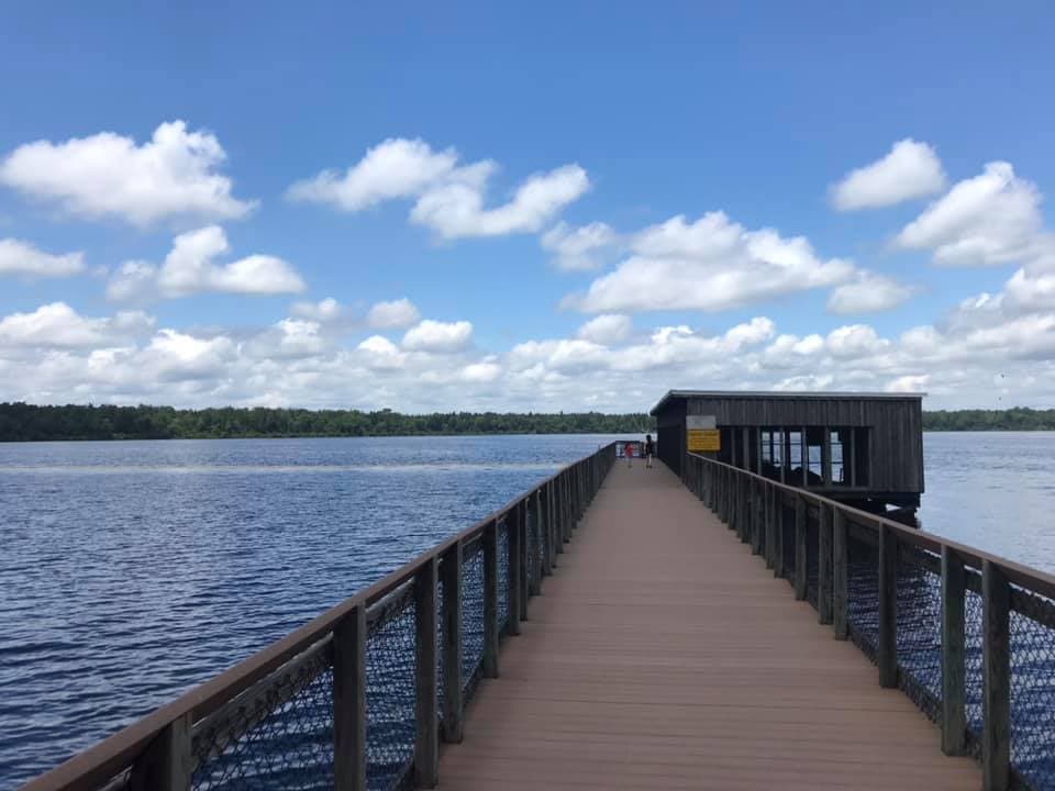 Encuentra más información sobre el parque, 
<b><a href="https://www.ncparks.gov/state-parks/jones-lake-state-park">aquí</a></b>.