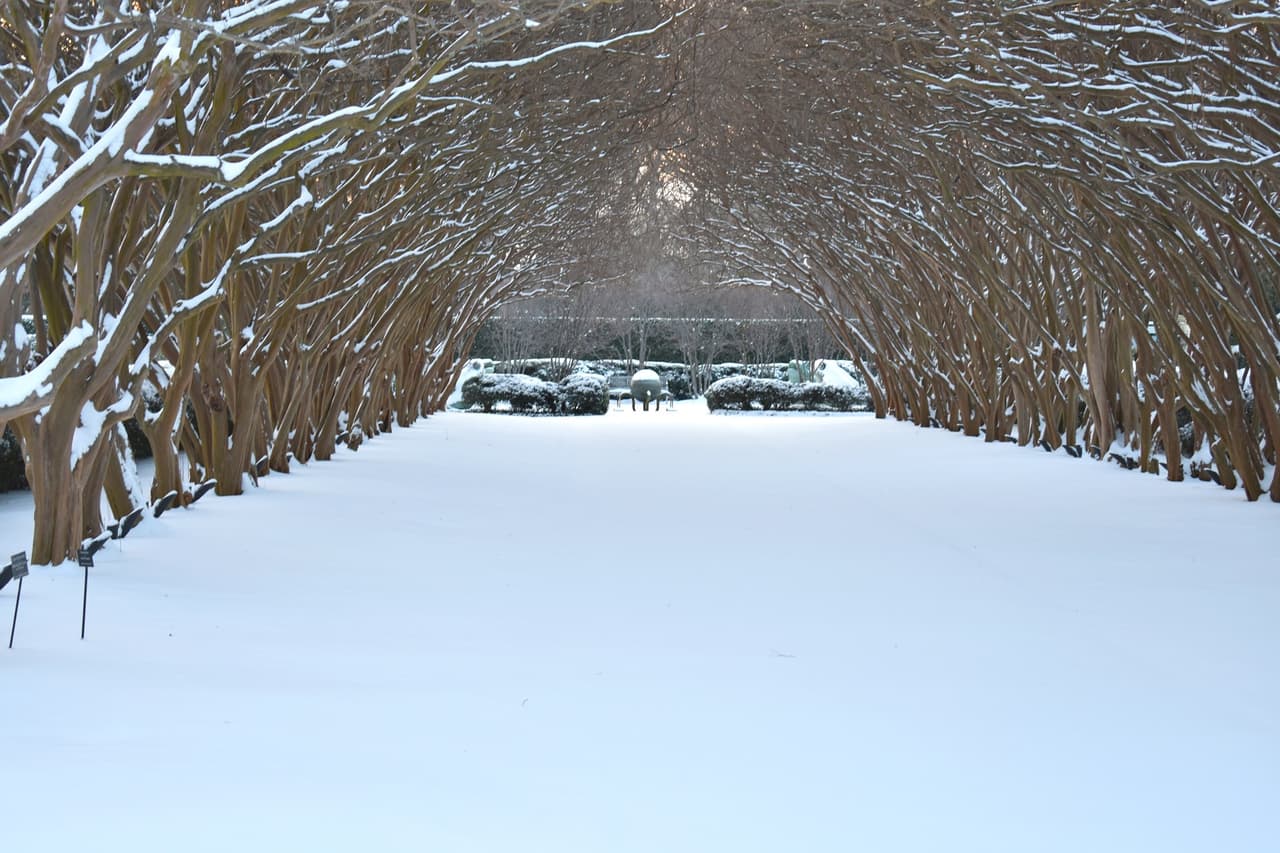 La crisis invernal también cobró la vida de varias personas en el norte de Texas.
<br>