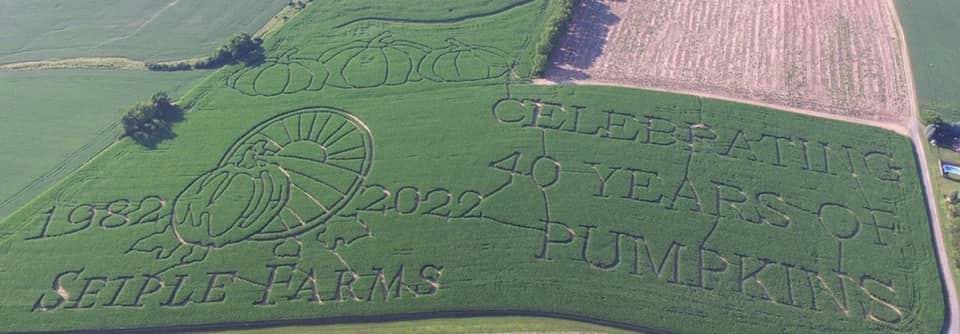 <b><a href="https://seiplefarms.com/">Seiple Farms (Bath)</a>. </b>Seiple Farms ha sido un nombre reconocido en Bath desde que la granja familiar abrió por primera vez en 1889. Hoy en día, es un popular destino de otoño que promete diversión para toda la familia. Después de recoger tus calabazas, desafíate para ver si puedes escapar del enorme laberinto de maíz, disfruta de un paseo en pony o de una deliciosa comida.
<br>
<br>
<b><a href="https://goo.gl/maps/joCVo7xp9vX14xP56">Cómo llegar</a></b>