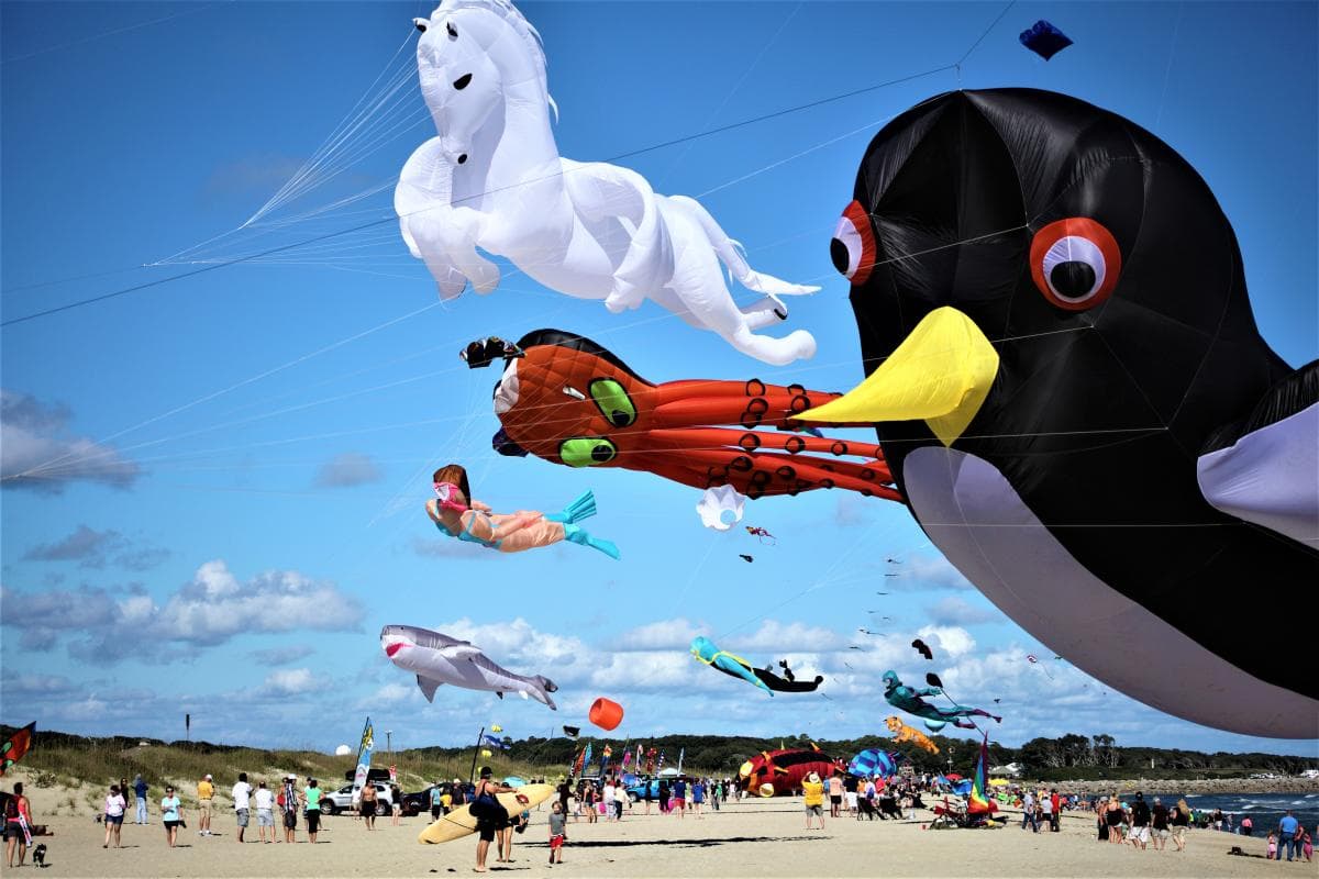 <b><a href="https://kure-beach.wilmingtonandbeaches.com/event/15th-annual-cape-fear-kite-festival/4693/" target="_blank">15<sup>th</sup> Annual Cape Fear Kite Festival (6 y 7 de noviembre)</a></b>: Una querida tradición anual, tanto los aficionados como los profesionales toman el cielo con una deslumbrante variedad de cometas de colores de todas las formas y tamaños junto al mar en el Área Recreativa Estatal de Fort Fisher. Prepara picnics o visita camiones de comida y varios vendedores en el lugar durante el festival de dos días.