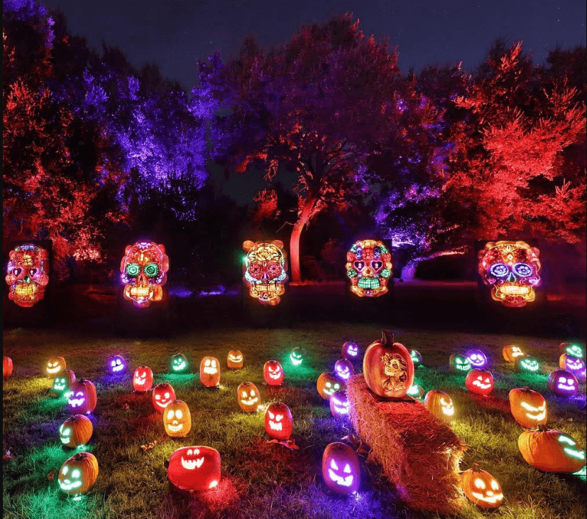 No tienes que esperar hasta el 31 de octubre para celebrar Halloween, aquí te lo explicamos