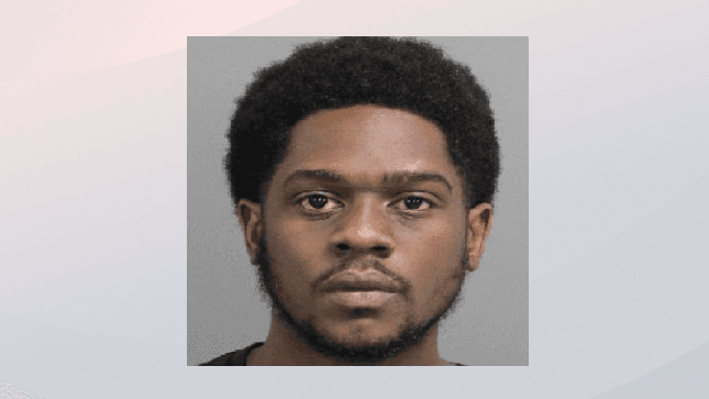 Sujeto que golpeó hasta matar a un cachorro fue acusado de crueldad animal