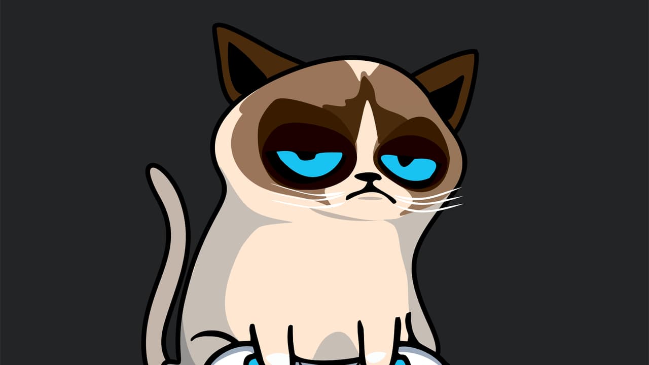 Ninguna mujer podía verse mejor que la novia o las damas de honor.