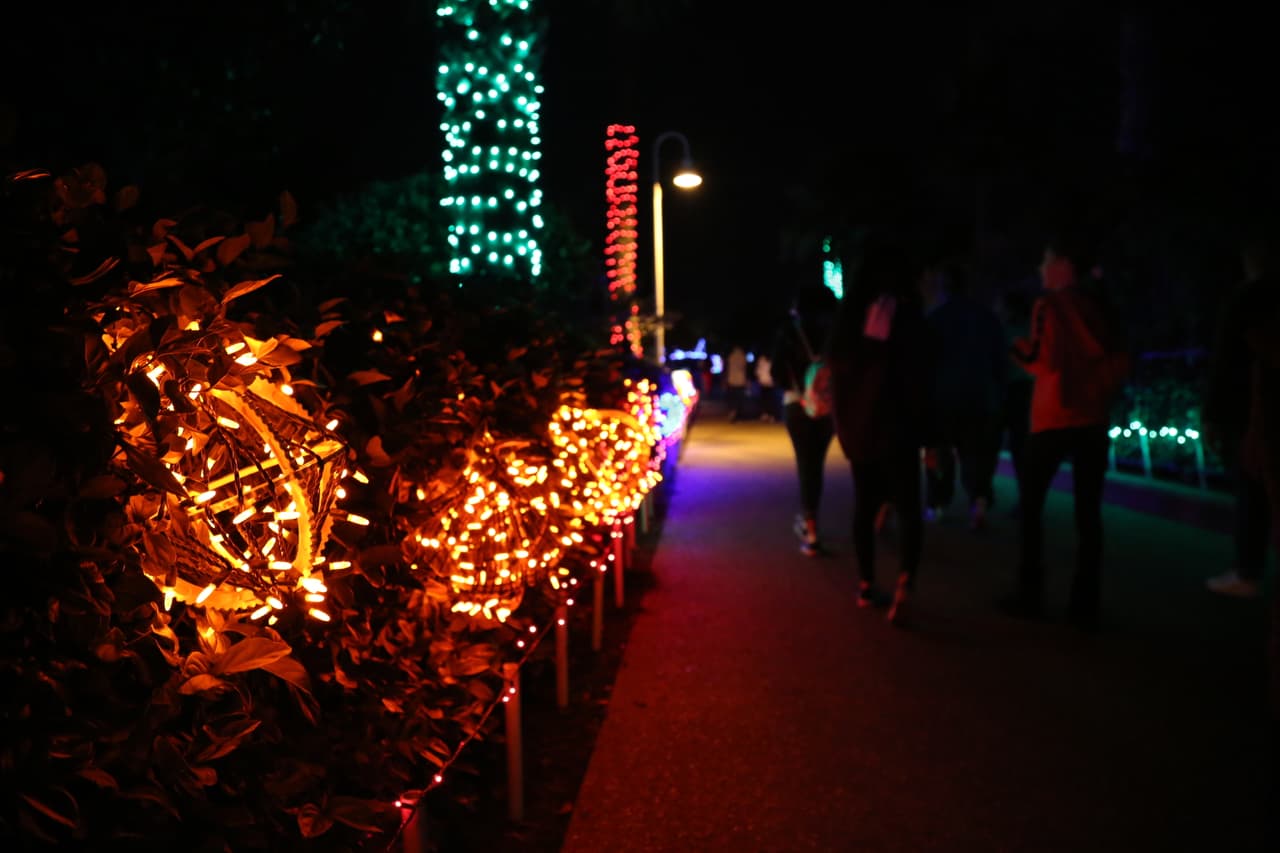 Si viene al recorrido de las luces, vaya despacio para que aprecie cada detalle.