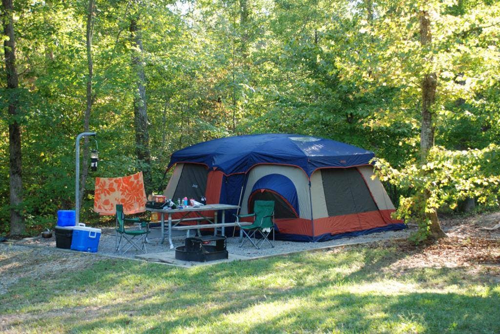 <b>DISFRUTEN DE LA NATURALEZA</b>. Con 41 parques estatales y áreas recreativas para visitar en Carolina del Norte, nunca estarás lejos de observar las estrellas, pescar, acampar, montar a caballo y escalar rocas. Planifica una aventura al aire libre junto a papá en uno de los hermosos parques y pongan a prueba su resistencia escalando hasta la cima de un pico impresionante o siéntense en una cómoda silla y disfruten de las vistas y los sonidos de un lago tranquilo.