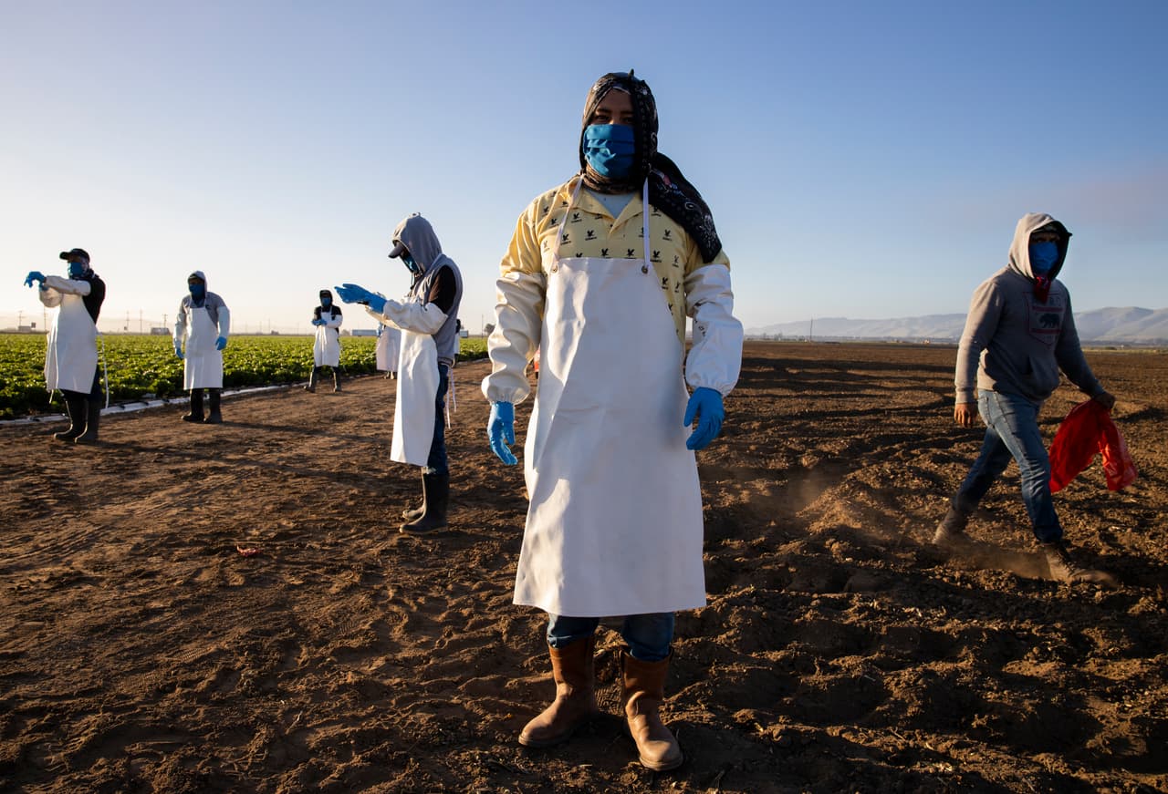 Dinero disponible para trabajadores agrícolas en California afectados por el coronavirus 