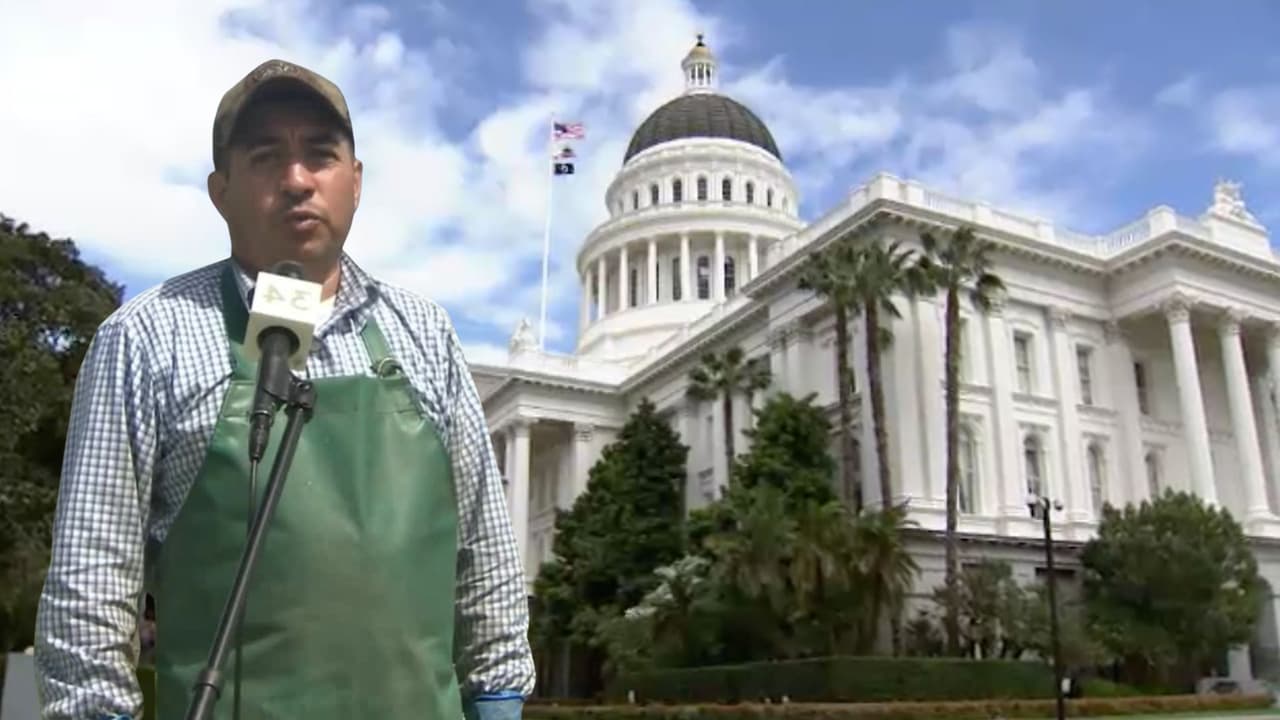 El 2023 llega con nuevas leyes para California. El aumento del salario mínimo, más derechos para trabajadores, vendedores ambulantes, nuevas políticas de salud y hasta limitaciones para compra ventas de convertidores catalíticos son parte de una serie de reglamentos de impactarán a todos los residentes del estado, incluyendo a inmigrantes indocumentados.