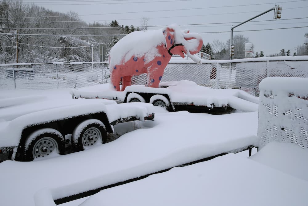El elefante que simboliza a los republicanos también quedó cubierto de una capa de nieve