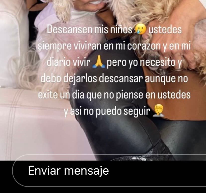 "Descansen mis niños. Ustedes siempre vivirán en mi corazón y en mi diario vivir, pero yo 
<b>necesito y debo dejarlos descansar,</b> aunque no existe un día que no piense en ustedes y así no puedo seguir".
<br>