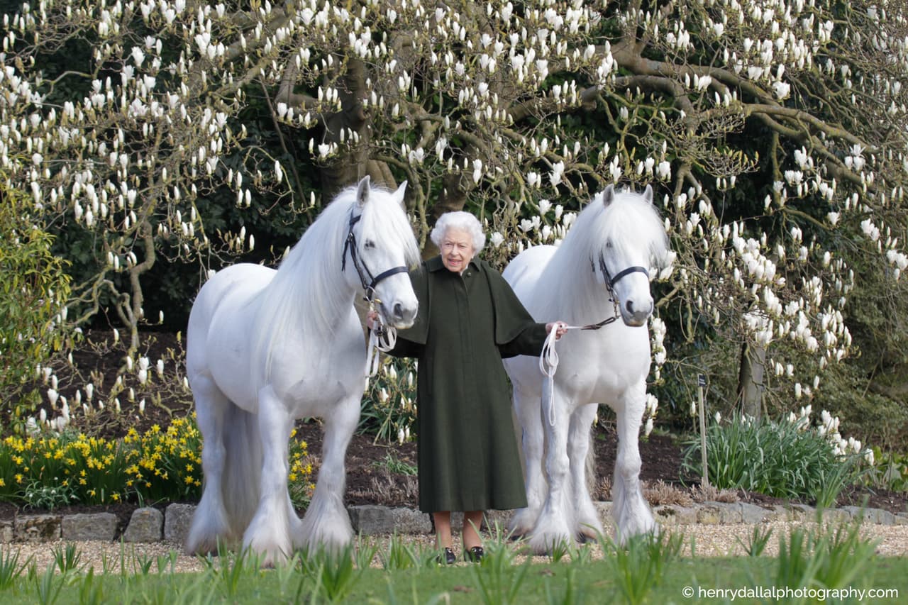 La imagen más reciente de la monarca es la que publicó la Casa Real en la víspera de su cumpleaños. Se tomó el mes pasado en los jardines del Castillo de Windsor y es
<b>un posado de la reina con dos de sus ponies, Bybeck Katie y Bybeck</b> Nightingale.