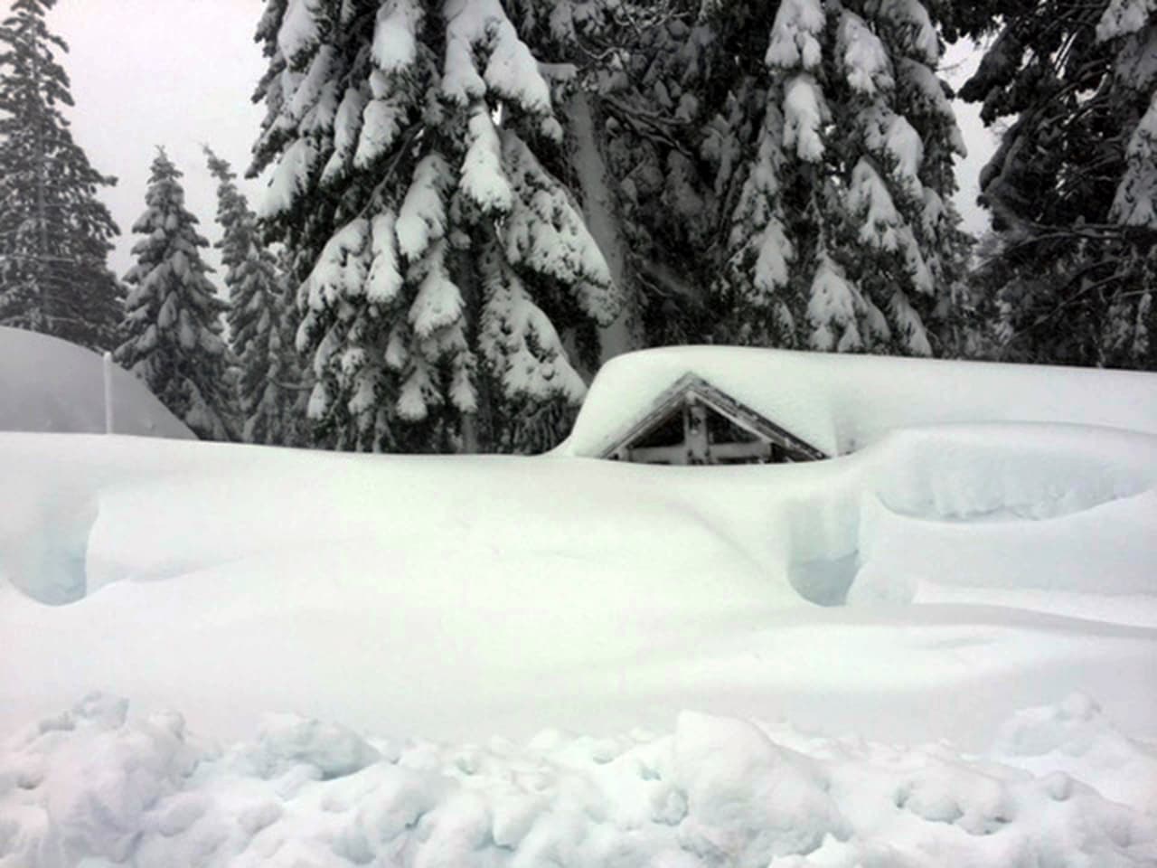 Autoridades de Alpine Meadows confirmaron que las avalanchas no dejaron heridos o fallecidos.