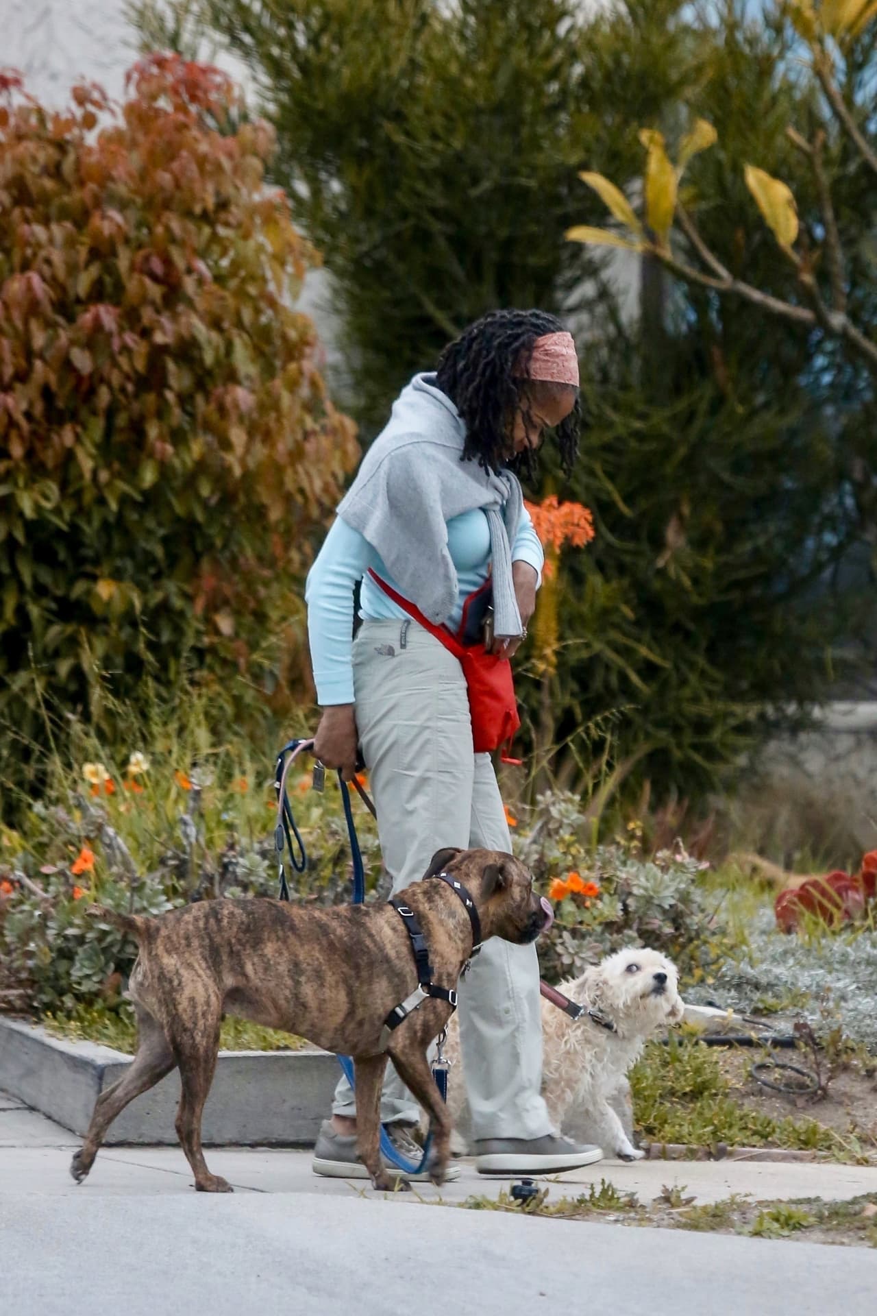 Doria, quien es instructora de yoga, vestía una playera azul de manga larga y pantalones caqui cuando fue vista paseando a sus dos perros en el vecindario.
<br>
