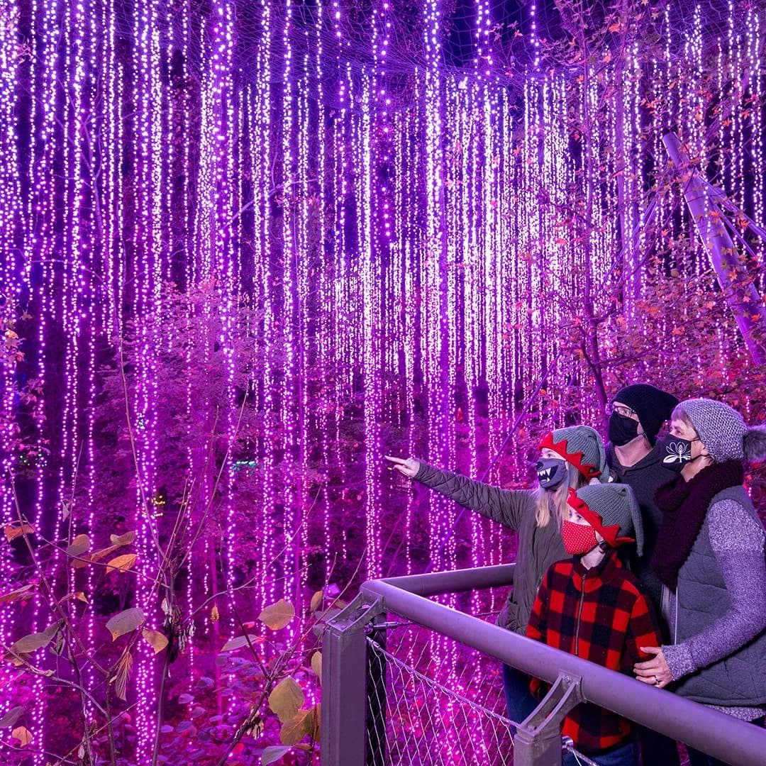 ¡Esta aventura
<a href="https://atlantabg.org/plan-your-visit/atlanta-garden-calendar/garden-lights-holiday-nights/" target="_blank">Garden Lights, Holiday Nights en el </a>
<a href="https://www.exploregeorgia.org/atlanta/food-drink/casual-full-service/atlanta-botanical-garden" target="_blank">Jardín Botánico de Atlanta</a> emociona todos tus sentidos!.