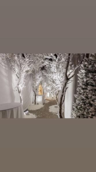 Se levantaron enormes carpas blancas en el patio de la residencia. El multipremiado cantante John Legend fue el encargado de amenizar el evento. 
<br>