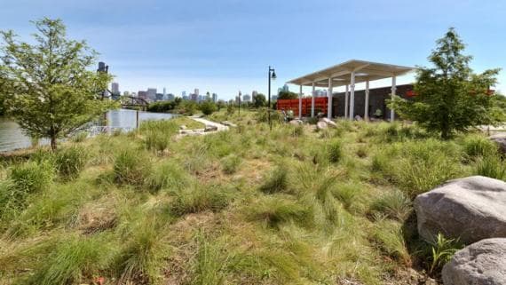 <h3 class="cms-H3-H3">Ping Tom Memorial Park</h3>
<br>El sitio de 17.44 acres de Ping Tom Memorial Park era originalmente un patio de ferrocarriles de Chicago y Western Indiana ubicado a lo largo del borde de la rama sur del río Chicago en la comunidad de Armor Square. En 1998, el Distrito de Parques de Chicago comenzó a transformar la antigua vía férrea en un hermoso espacio verde ondulado, aprovechando al máximo las impresionantes vistas del río. Hoy en día, Ping Tom Memorial Park cuenta con un parque infantil, áreas de reunión comunitaria y elementos de diseño de paisajes chinos.