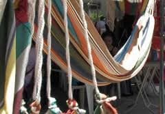 Festival de la Hamaca se celebrará virtualmente 