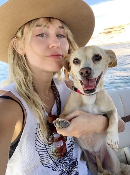 Hasta el momento, Miley no ha confirmado tener una relación con Cody.