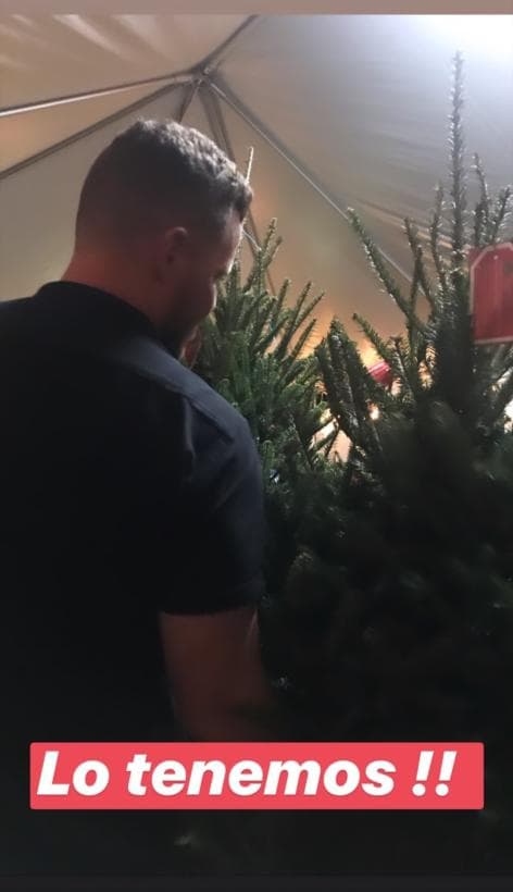 Francesco estuvo involucrado en todo el proceso de la decoración navideña.