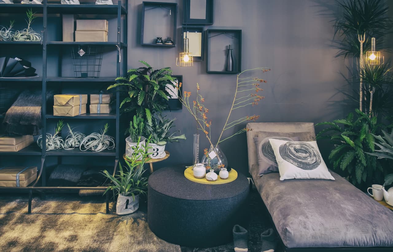 NASA Says to Keep Kid Friendly Houseplants 