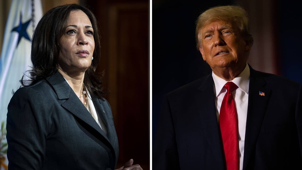 Kamala Harris buscará la nominación demócrata: ¿cómo sería la posible contienda contra Donald Trump?