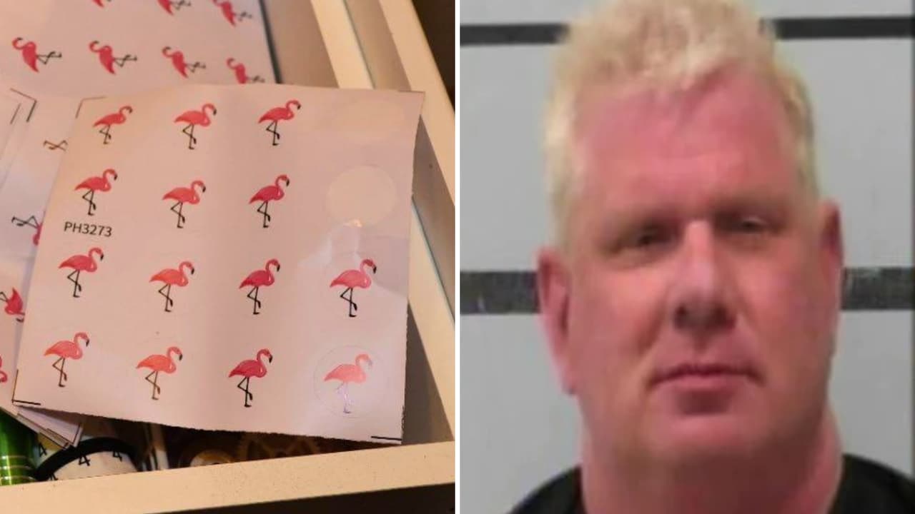 De las aulas al narcotráfico: profesor de Lubbock recibe 40 años por fentanilo “Pink Flamingo”