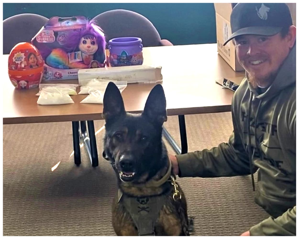El agente K9, Dak y el oficial Egan Smith fueron parte importante en la incautación de las drogas.