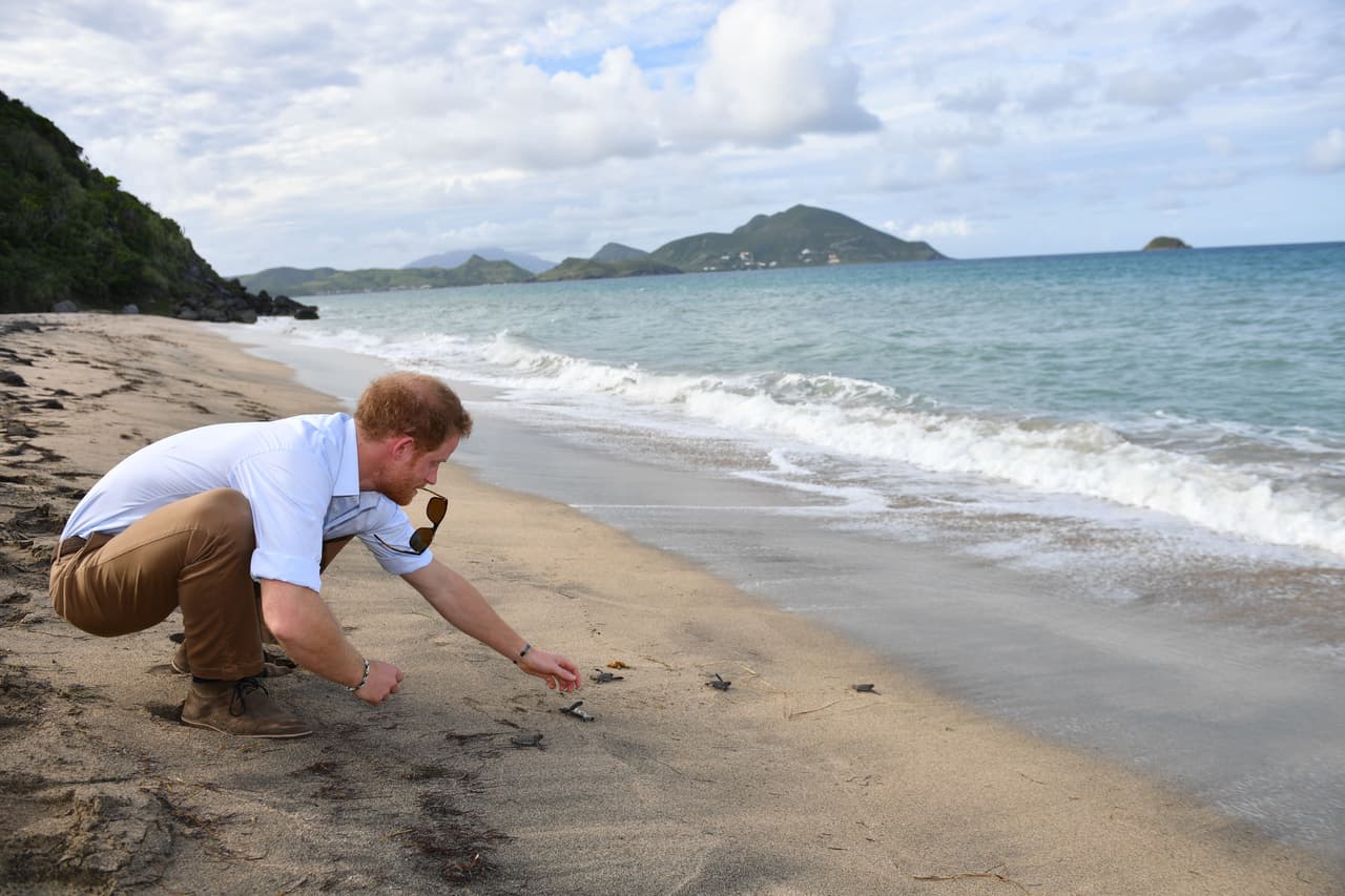 Ahí fue parte de varias actividades culturales y artísticas.
