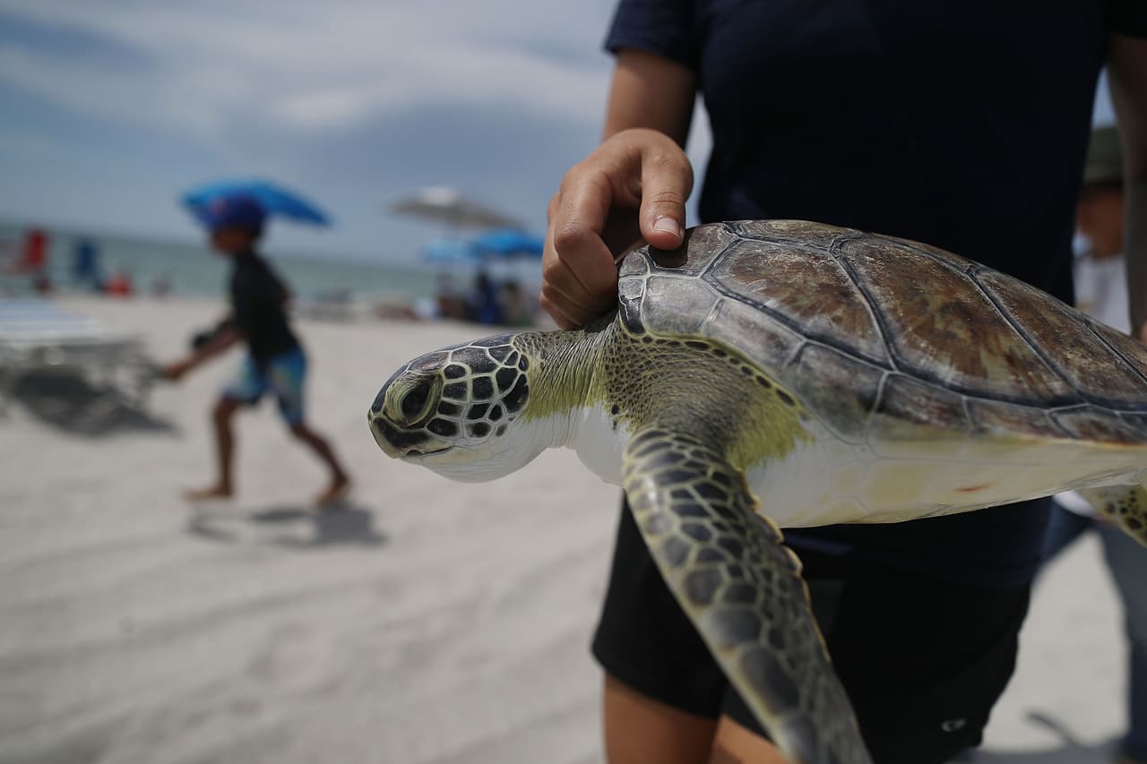 <b>Deerfield Beach</b> : esta es la primera ciudad de los peores lugares para retirarse. 
<br>