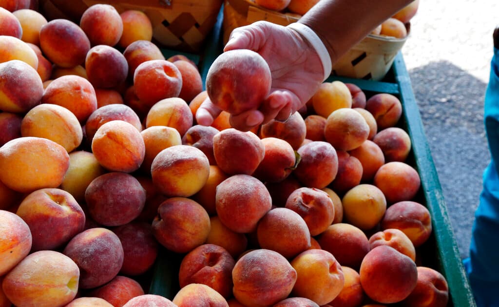 <b>4. Duraznos o melocotones: </b>Según el EWG, datos del Departamento de Agricultura de 2021 mostraron que de 500 muestras de duraznos frescos convencionales analizadas, el 90% tenía un pesticida posible disruptor hormonal y en general 56 pesticidas diferentes. Todos los productos incluidos en la Docena Sucia 2023 tuvieron al menos una muestra con al menos 13 pesticidas diferentes, y algunos hasta 23.