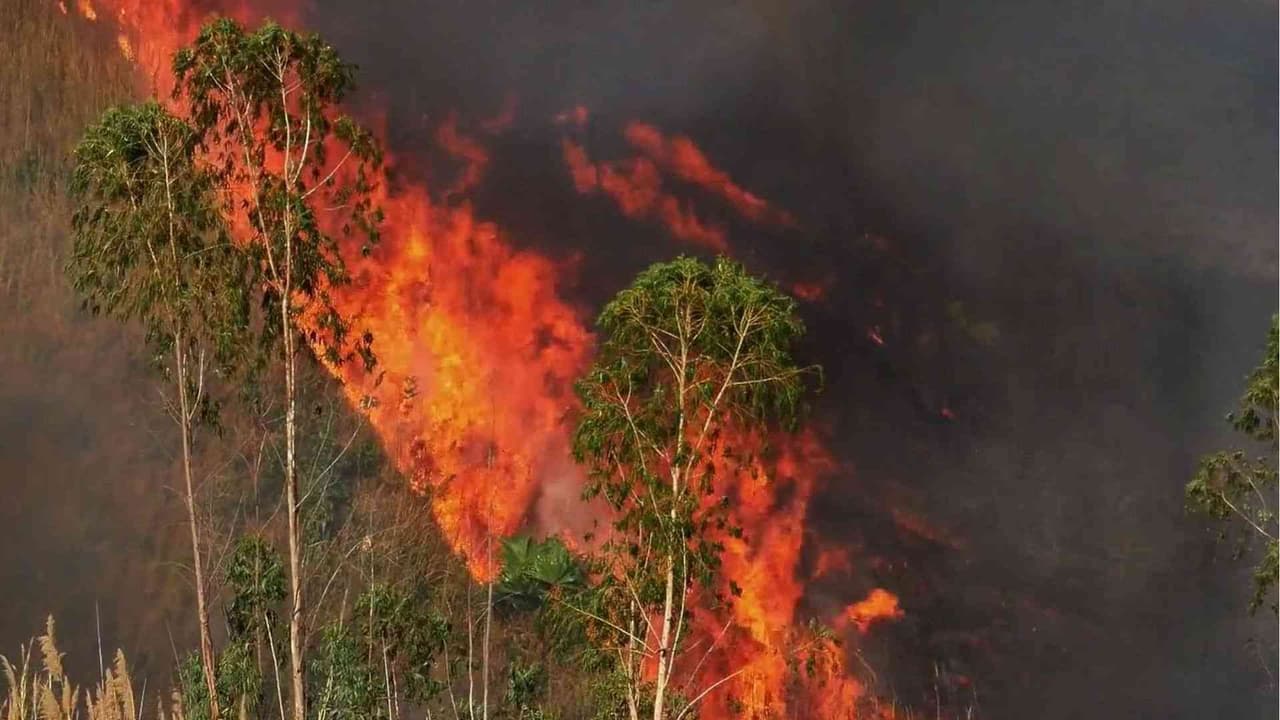 Condado de Travis se prepara ante posibles incendios forestales: Autoridades definirán hoy estrategias de prevención