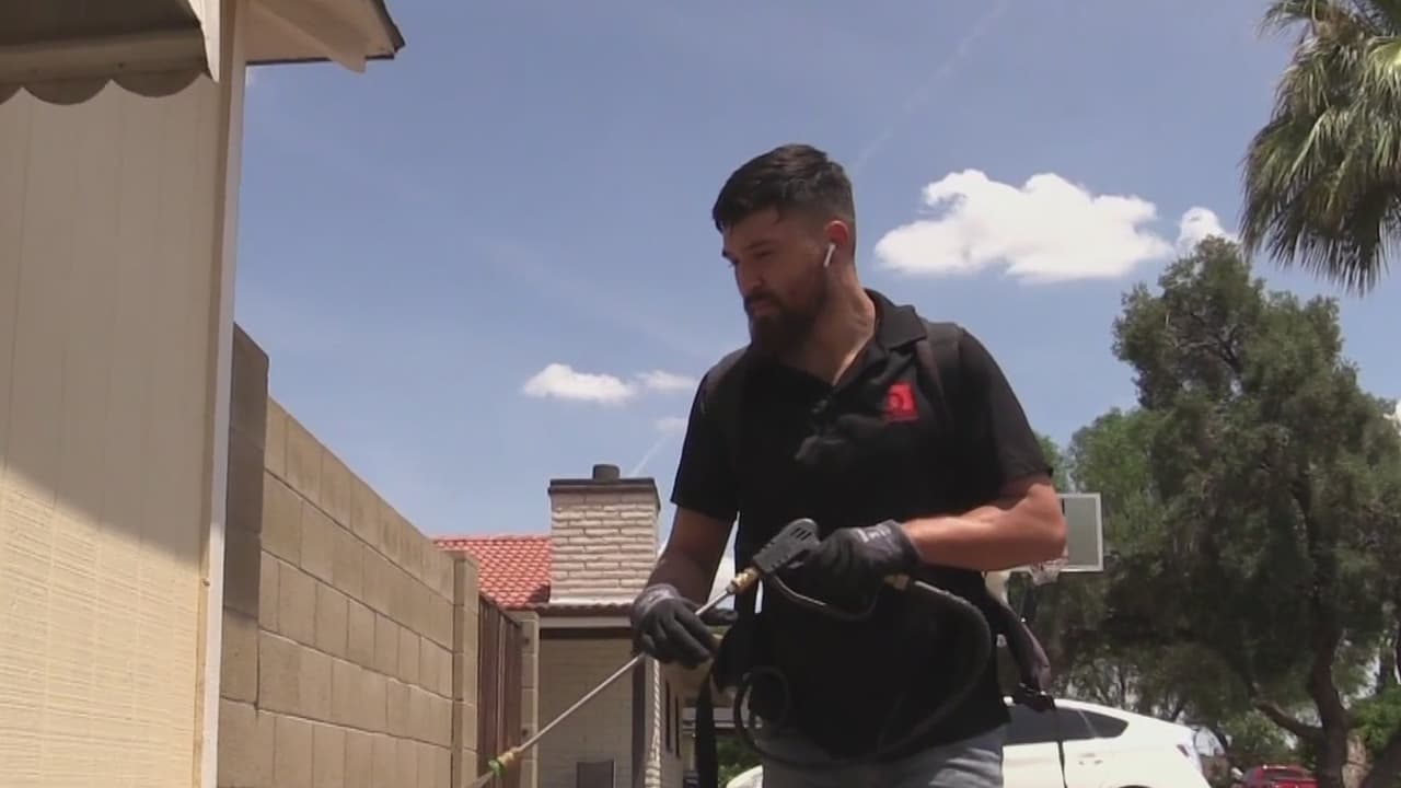 En esta época de tormentas, infinidad de insectos se reproducen fácilmente. “Ahorita las termitas andan buscando nuevos nidos, porque este húmedo, les gusta donde esta la tierra mojada”, indica Uriel Rivas, experto en control de plagas en Arizona. 
<br>