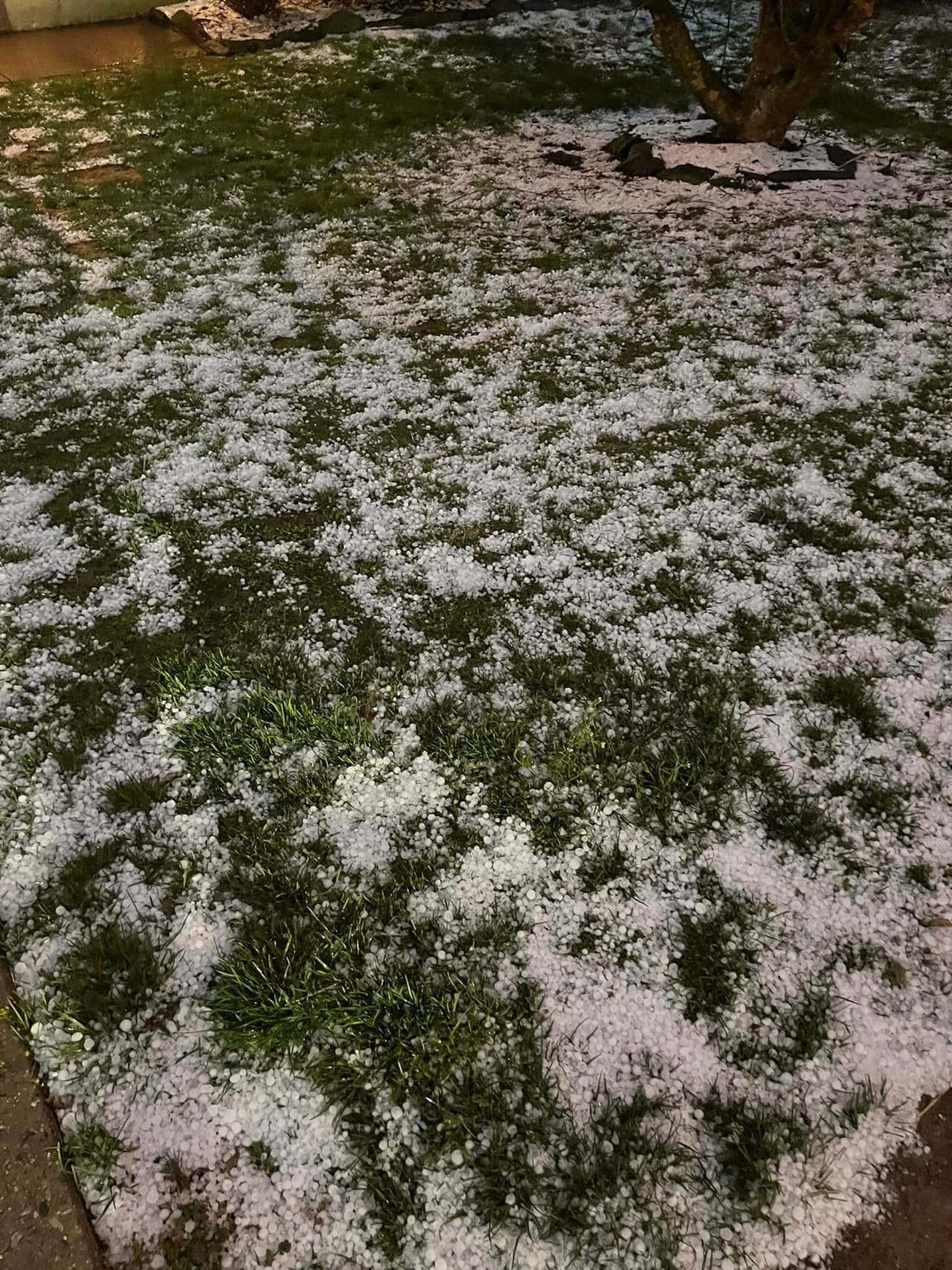 Esta foto fue enviada por un residente en la sección de
<b>Andorra</b> en el vecindario de Roxborough en Filadelfia.