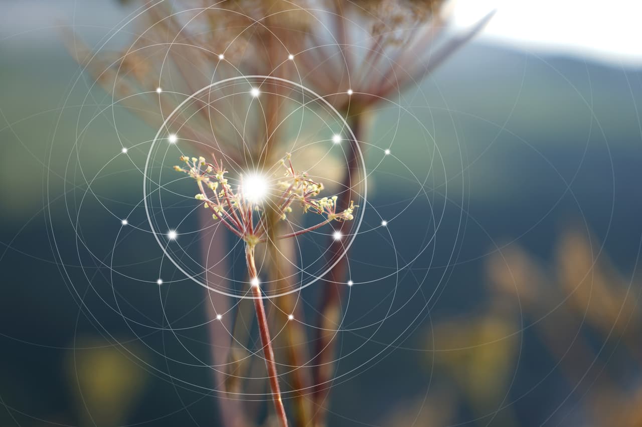 <h3 class="cms-H3-H3">Círculo</h3>
<br>Esta figura al observarla da una sensación de infinito, los expertos la vinculan a la idea de plenitud y perfección. De hecho, ninguna otra figura tiene proporciones tan perfectas por lo que se le considera una forma muy cercana a Dios.
<br>