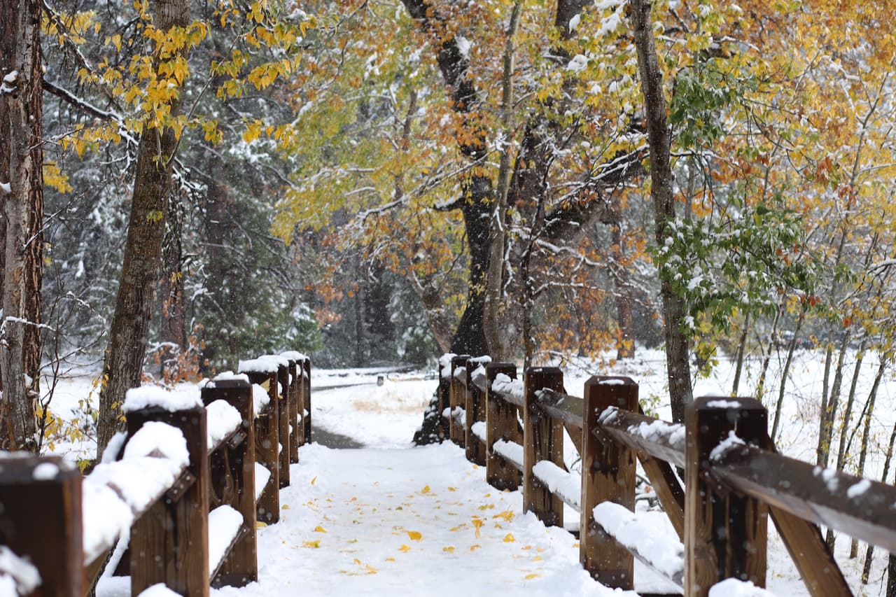 La mañana del domingo amaneció nevando en el Valle de Yosemite y en toda la Sierra Nevada sobre los 5 mil pies de altura.