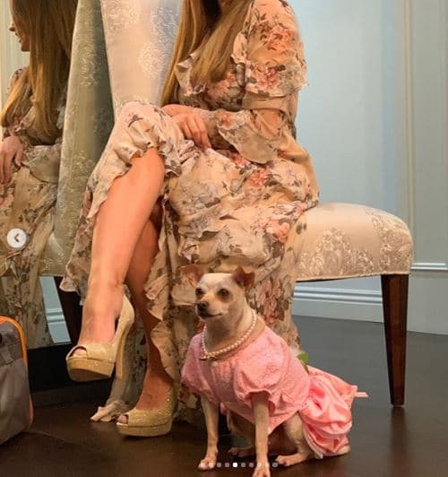 Así posaron Sofía Vergara y Baguette para conmemorar esta fecha tan importante para ellas.