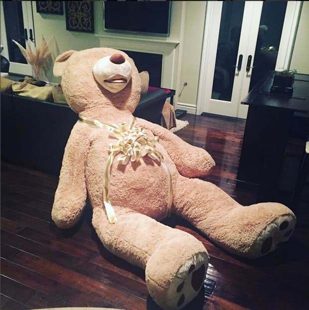 Kate dentro, con su osote de peluche.